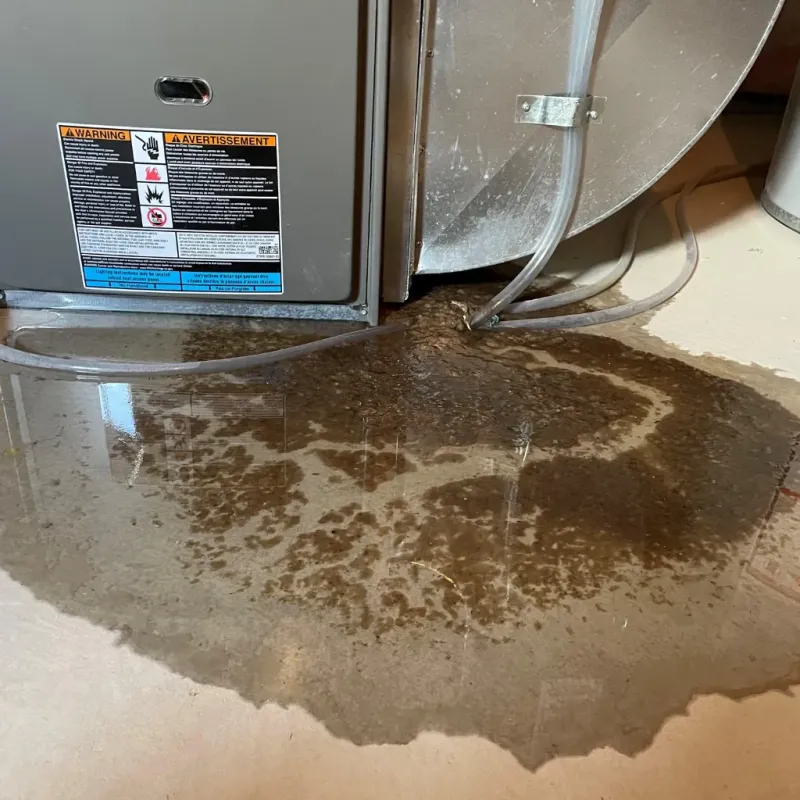 Appliance Leak Cleanup in Wahiawa, HI