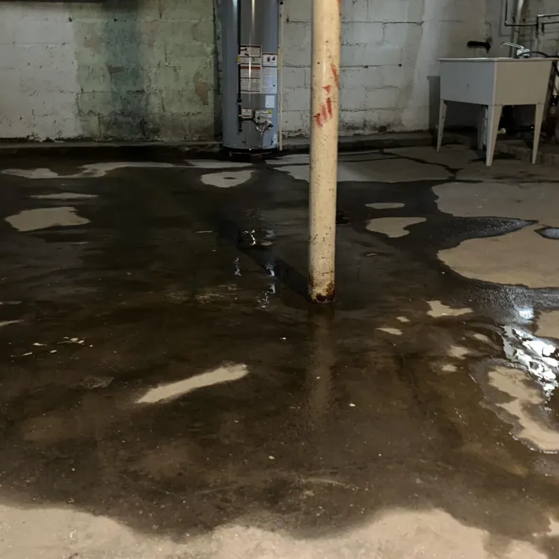 Emergency Water Extraction And Removal in Wahiawa, HI